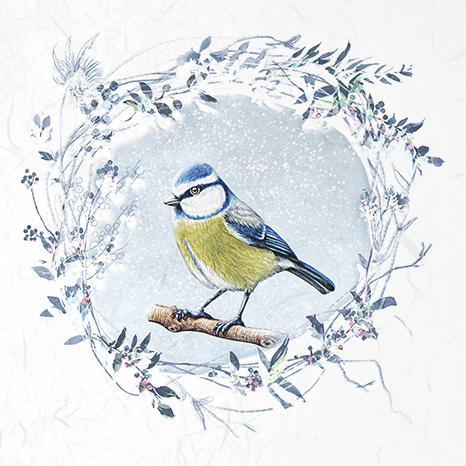 ITD - Reispapier-Set - RSM049 Vögel