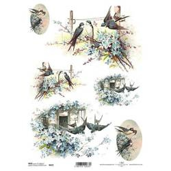 ITD Reispapier Decoupage Bastelpapier, Schwalben R0672