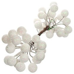 Jarzębina / głóg / bordowe kuleczki