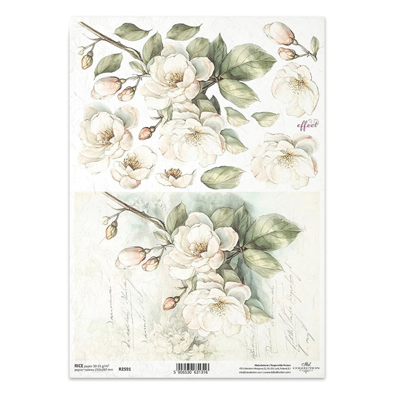ITD Reispapier Decoupage Bastelpapier Serviettentechnik-R2591 Apfelblüten