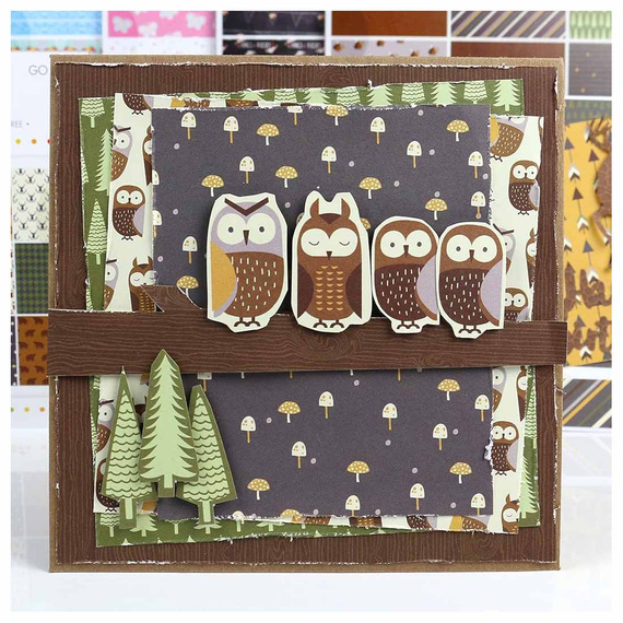 SIMPLY CREATIVE Set 20 Blatt 30x30cm Scrapbooking Craft Papier 200g, Go Wild