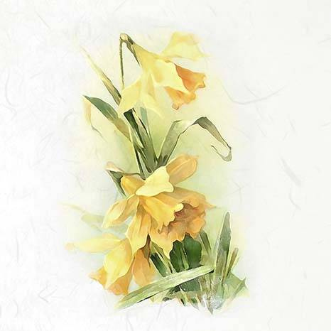 ITD Reispapier Decoupage SET Bastelpapier,  Narzissen, Narzissen, Margeriten RSM074 