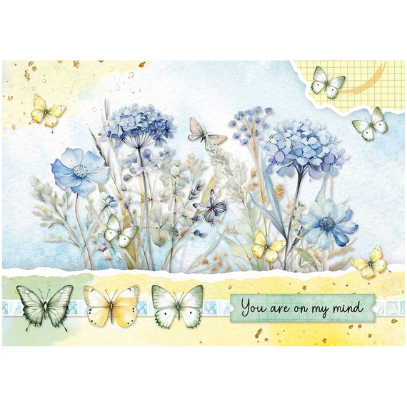 Scrapbooking Papier Set mit A4-Elementen - Butterflies - Studio Light