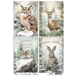 Reispapier für Decoupage A4 - Ciao Bella - Forest Tales Karten