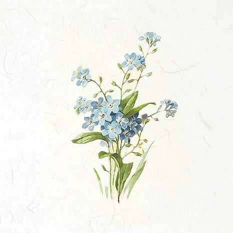 ITD Reispapier Decoupage SET Bastelpapier, Vergissmeinnicht RSM077 