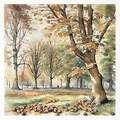 Reispapier-Set - ITD RSM102 Herbstansichten, Herbst, Park