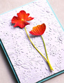 MEMORY BOX Stanzformen Set Stanzschablone Scrapbooking Die Cut, Splendid Poppy Stems Mohnblumen