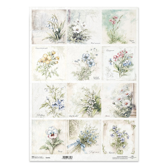 Reispapier Decoupage Bastelpapier für Decoupage A3 ITD R1444L Blumen, Schneeglöckchen, Maiglöckchen, Gänseblümchen, Stiefmütterchen, Vergissmeinnicht, Veilchen