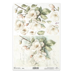 ITD Reispapier Decoupage Bastelpapier Serviettentechnik-R2591 Apfelblüten
