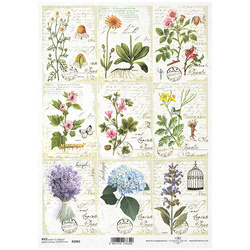 ITD Reispapier Decoupage Bastelpapier, Kräuter, Blumen, Schreibeno R2082