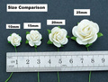  ROSEN Geöffnete 20mm 50 Stk. Scrapbooking Maulbeerpapier Blumen Flowers, türkis