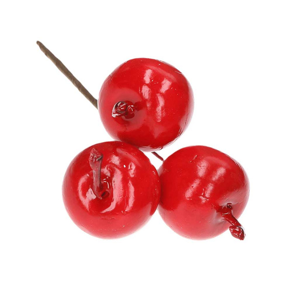 Lackierte Äpfel auf einem Draht - 6 Stück