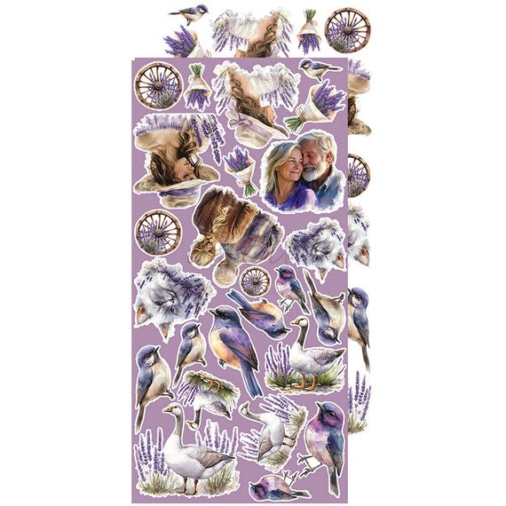 CRAFT OCLOCK 15x30cm Scrapbooking Papier mit Elementen, Heritage Whispers - Flowers