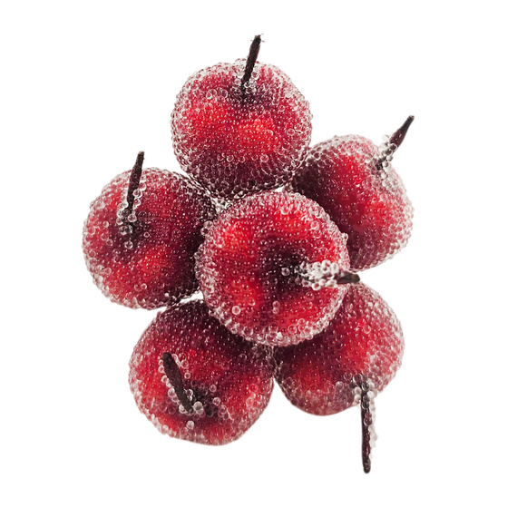 Vereiste Äpfel – Weihnachtsdekoration – 6 Früchte an einem Zweig