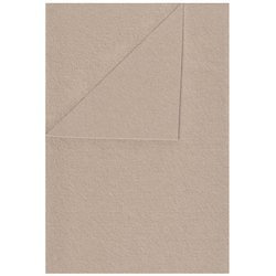 100% Wolle Filz WOLLFILZ Bastelfilz Dekofilz 20x30cm/1,5 mm/450g, 5663 beige
