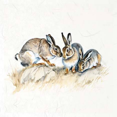 Reispapier-Set - ITD - RSM114 Hasen