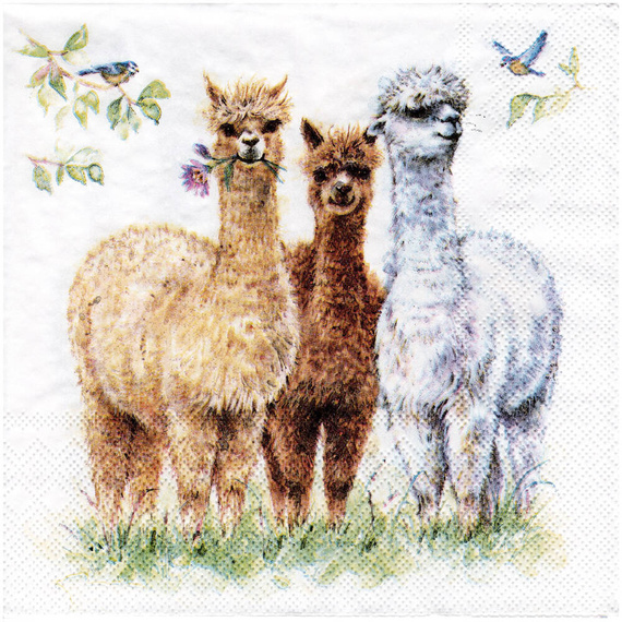 SERVIETTEN 1 Stück Motivservietten Decoupage Napkin 33x33cm, Alpaca friends