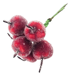 Vereiste Äpfel – Weihnachtsdekoration – 6 Früchte an einem Zweig