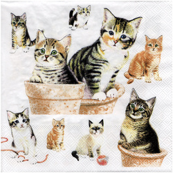 SERVIETTEN 1 Stück Motivservietten Decoupage Napkin 33x33cm, Cute kittens