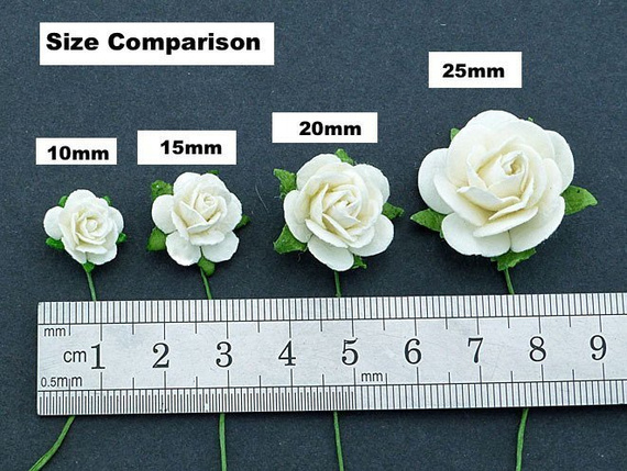 ROSEN Geöffnete 15 mm 50 Stk. Scrapbooking Maulbeerpapier Blumen Flowers, weiß