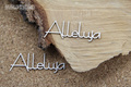 Dekorpappe Die Cut Chipboard Halleluja 04 2pcs SC