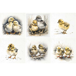 Reispapier-Set - ITD - RSM109 Hühner