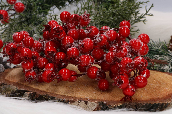 Eberesche Vogelbeerbaum gefrostete Beere Draht 40 Bälle/1 Zweig, orange