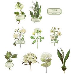 AUFKLEBER folie - Grüne Blumen und Etiketten