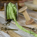 Dekorative VINTAGE Shabby Bänder - helloliv