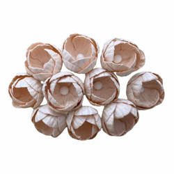 BUTTERBLUME Blumen 25mm 50Stk. Scrapbooking Maulbeerpapier, pfirsich