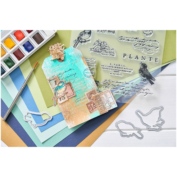 SIZZIX Framelits Stanzform Präge Stanzschablone + Stempelset, Bird Song by 49 and Market 