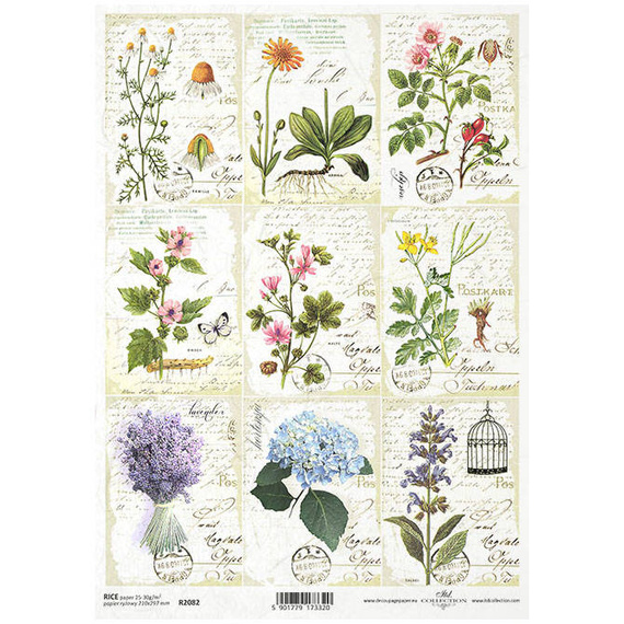 ITD Reispapier Decoupage Bastelpapier, Kräuter, Blumen, Schreibeno R2082