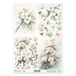 ITD Reispapier Decoupage Bastelpapier Serviettentechnik-R2590 weiße Blumen