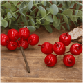 Lackierte Äpfel am Draht - 6 Stück - Dekorative Früchte