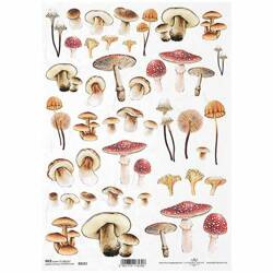 ITD Reispapier Decoupage Bastelpapier Softpapier Serviettentechnik, Pilze R2121