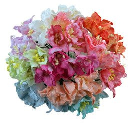 LILIEN 35mm 50Stk Scrapbooking Maulbeerpapier Blumen Flowers, Farbmischung