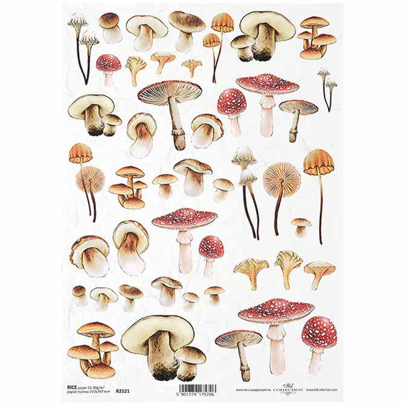 ITD Reispapier Decoupage Bastelpapier Softpapier Serviettentechnik, Pilze R2121