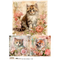 Reispapier Decoupage Bastelpapier A4 - Scraplove - Cat Junk Journal 1