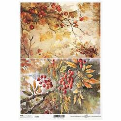 ITD Reispapier Decoupage Bastelpapier Serviettentechnik-R2299 Pflanzen, Eberesche, Herbst