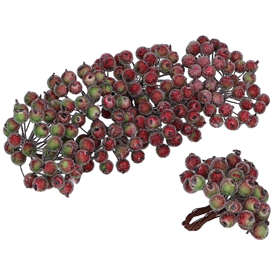 Gefrostete Beeren - rot-grüne - 1 Zweig mit 40 Beeren 