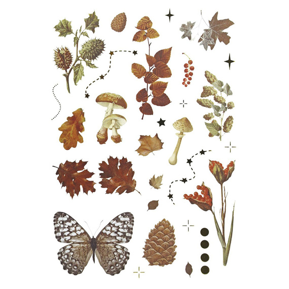 AUFKLEBER folie - Pilze, Zapfen, Blätter