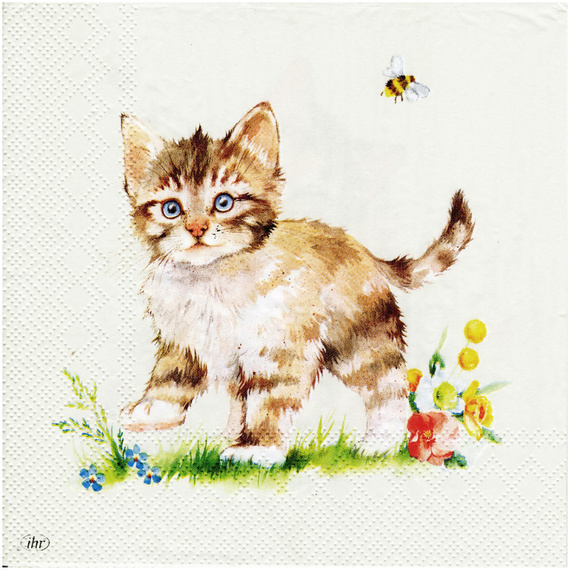 SERVIETTEN 1 Stück Motivservietten Decoupage Napkin 33x33cm, Kira Katzen