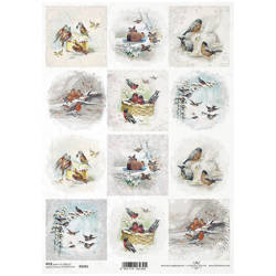 ITD Reispapier Decoupage Bastelpapier Serviettentechnik-R2265 Vögel