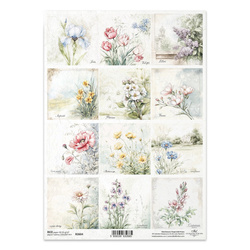 ITD Reispapier Decoupage Bastelpapier Serviettentechnik-R2604 Blumen, Mohn, Kornblume, Iris, Tulpe, Flieder, Narzisse, Primeln, Freesie