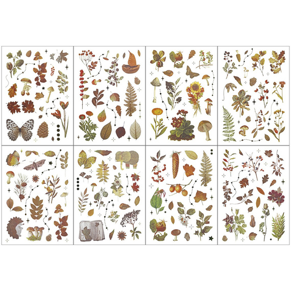 AUFKLEBER folie - Pilze, Zapfen, Blätter