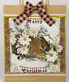 CHEERY LYNN Stanzform Präge Stanzschablone Cutting Die - Snowflake Delight 2 - B609 Schneeflocke