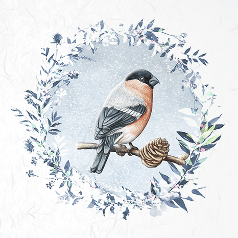 ITD - Reispapier-Set - RSM049 Vögel