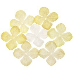 HORTENSIONEN Papierblumen, Maulbeere weiß und cremefarben Mix 50mm - 100 Stück