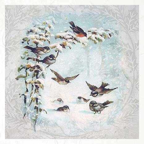 Reispapier-Set - ITD RSM084 Vögel