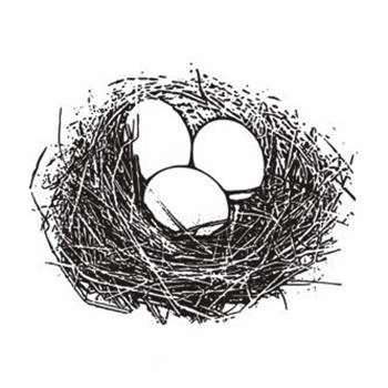 AGATERIA - Transparent Stempel Motivstempel Clear Stamp - Eggs in the nest, Eier im Nest